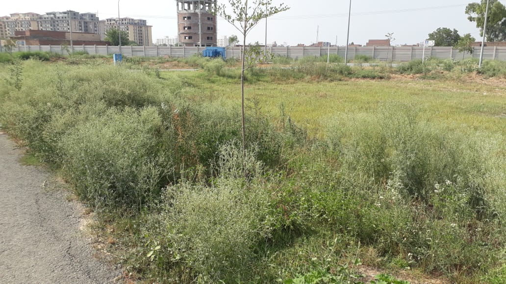 5 Marla   Plot for sale  Situated DHA Phase 8  Plot # Z4 436