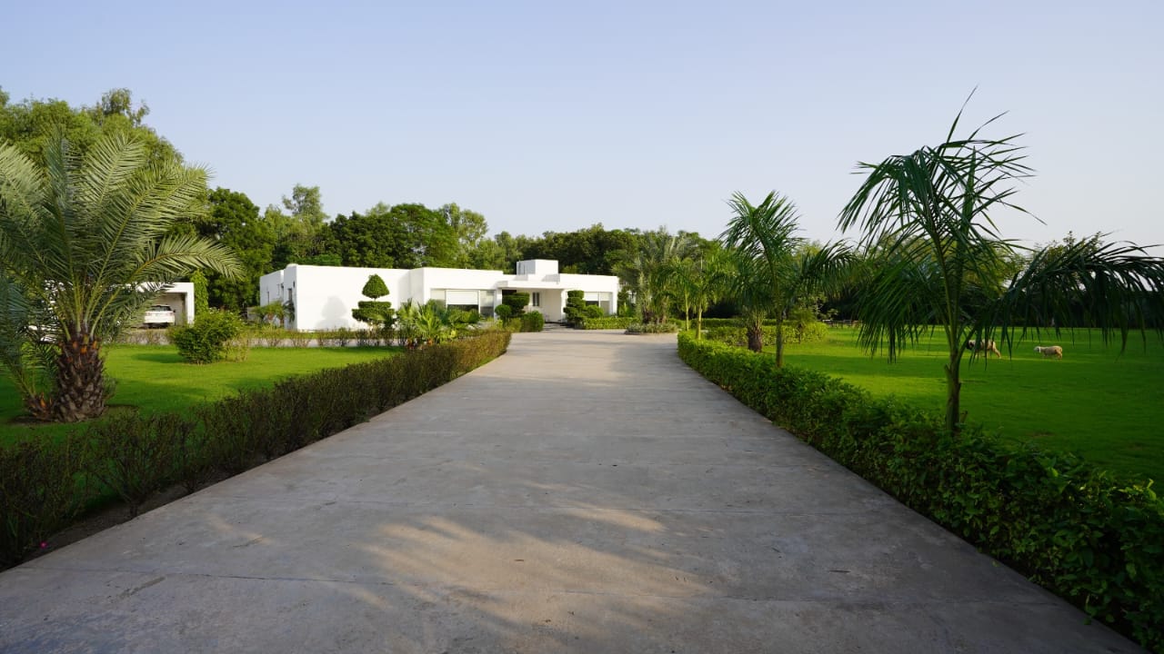 12 kanal farm house 🏡 available for sale 300 ft. Front Bedian Road in Thethar......Top Notch Location..........