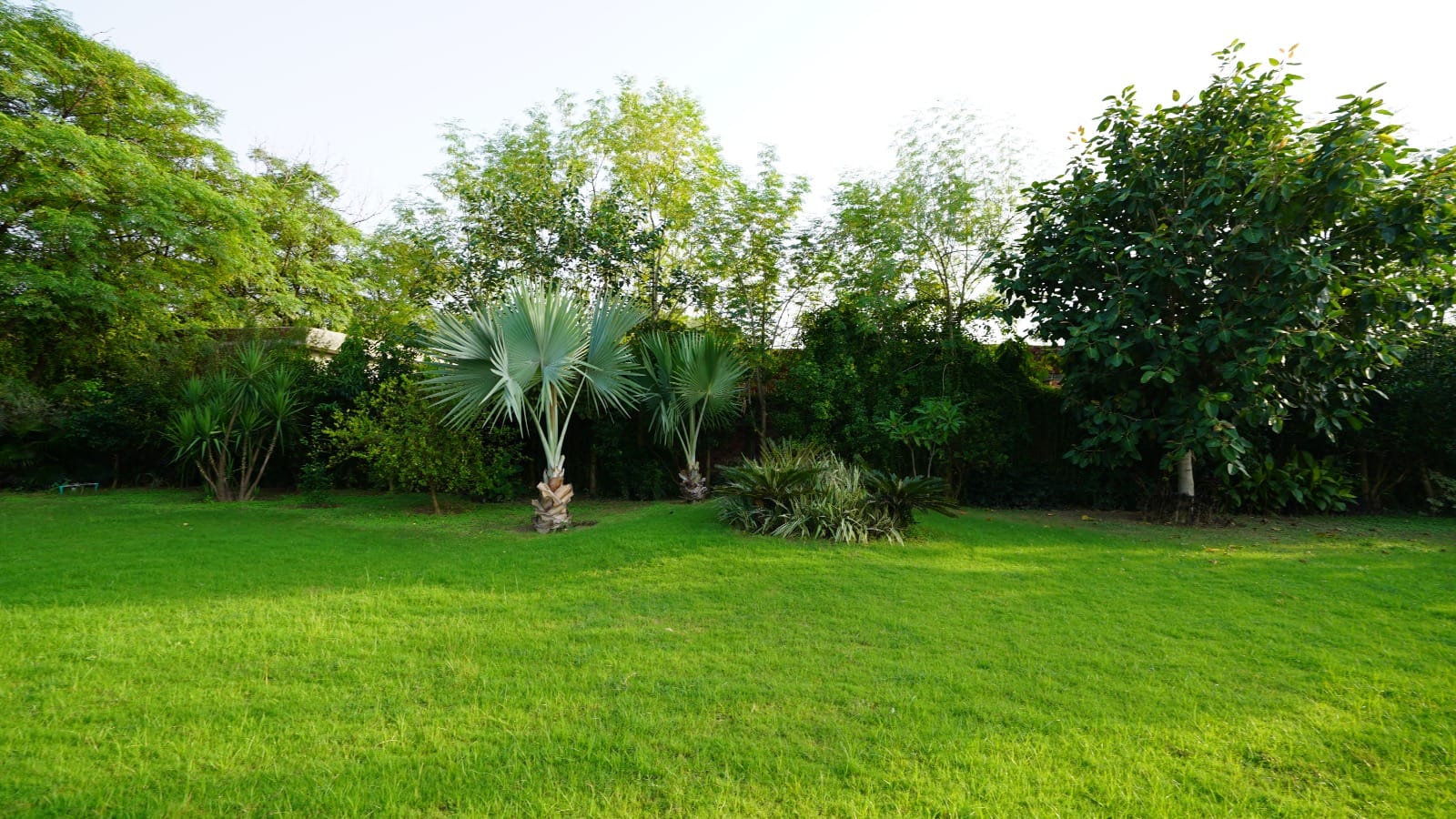 12 kanal farm house 🏡 available for sale 300 ft. Front Bedian Road in Thethar......Top Notch Location..........