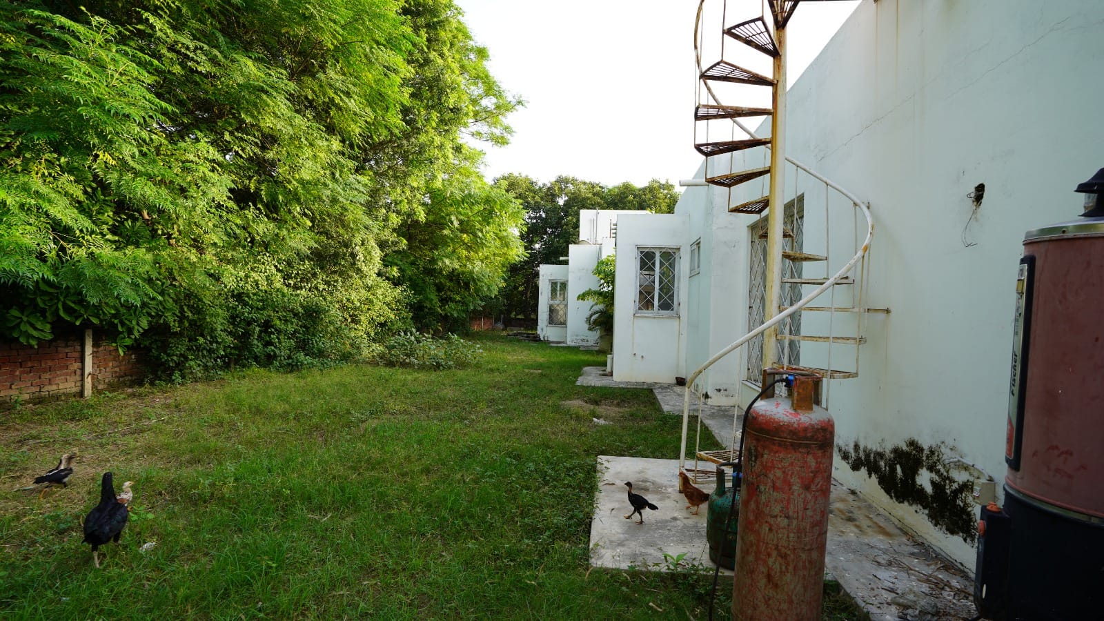 12 kanal farm house 🏡 available for sale 300 ft. Front Bedian Road in Thethar......Top Notch Location..........
