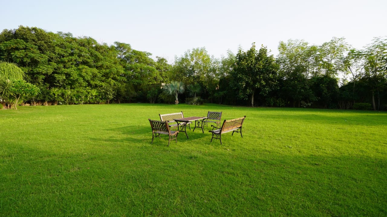 12 kanal farm house 🏡 available for sale 300 ft. Front Bedian Road in Thethar......Top Notch Location..........