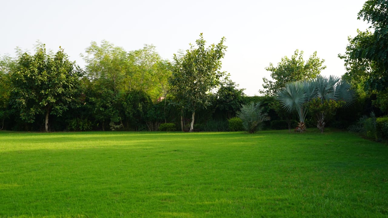 12 kanal farm house 🏡 available for sale 300 ft. Front Bedian Road in Thethar......Top Notch Location..........