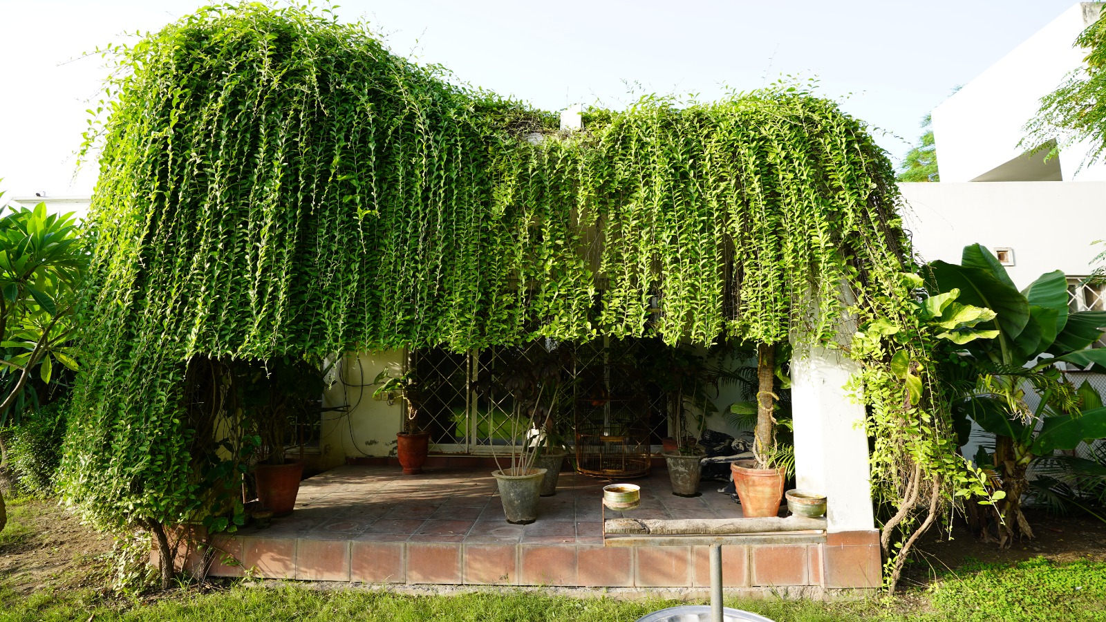 12 kanal farm house 🏡 available for sale 300 ft. Front Bedian Road in Thethar......Top Notch Location..........