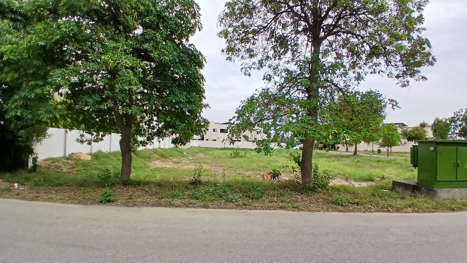 On Investor Rate 10 Marla  Residential Plot For Sale In DHA Phase 7 - Plot #  Y 4117